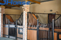 La stalle de cheval de 14 pieds affronte le cadre en bambou galvanisé plongé chaud durable